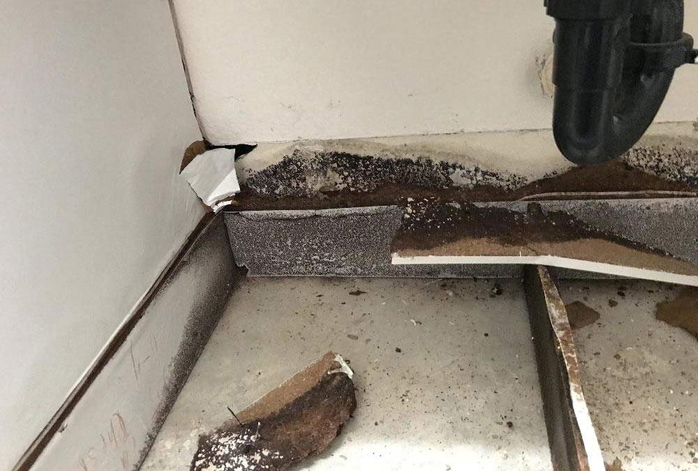 Florida Humidity Florida’s Humidity Impacts Mold Growth in Homes Florida mold growth, Humidity and mold, West Palm Beach mold remediation, Water damage prevention, Mold inspection, Edwards Property Remediation, Indoor air quality