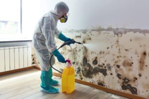Mold remediation West Palm Beach, Mold removal Palm Beach County, Certified mold cleanup, Mold testing, Edwards Property Remediation, Florida mold services, Insurance mold claims