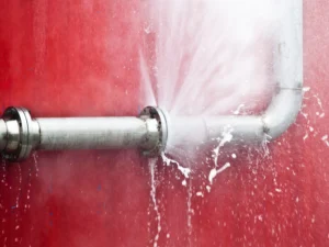 Burst pipe mistakes, Water damage avoidance, Pipe burst response, West Palm Beach water damage, Mold prevention, Edwards Property Remediation, Emergency plumbing