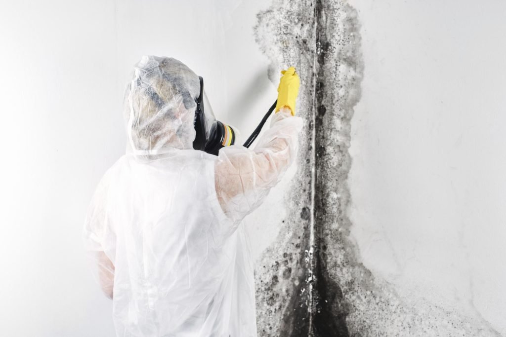 Landlord’s Guide to Mold: Legal Responsibilities in Florida landlord mold responsibilities, EPR LLC, Florida mold laws, mold remediation, tenant safety, property compliance, mold prevention