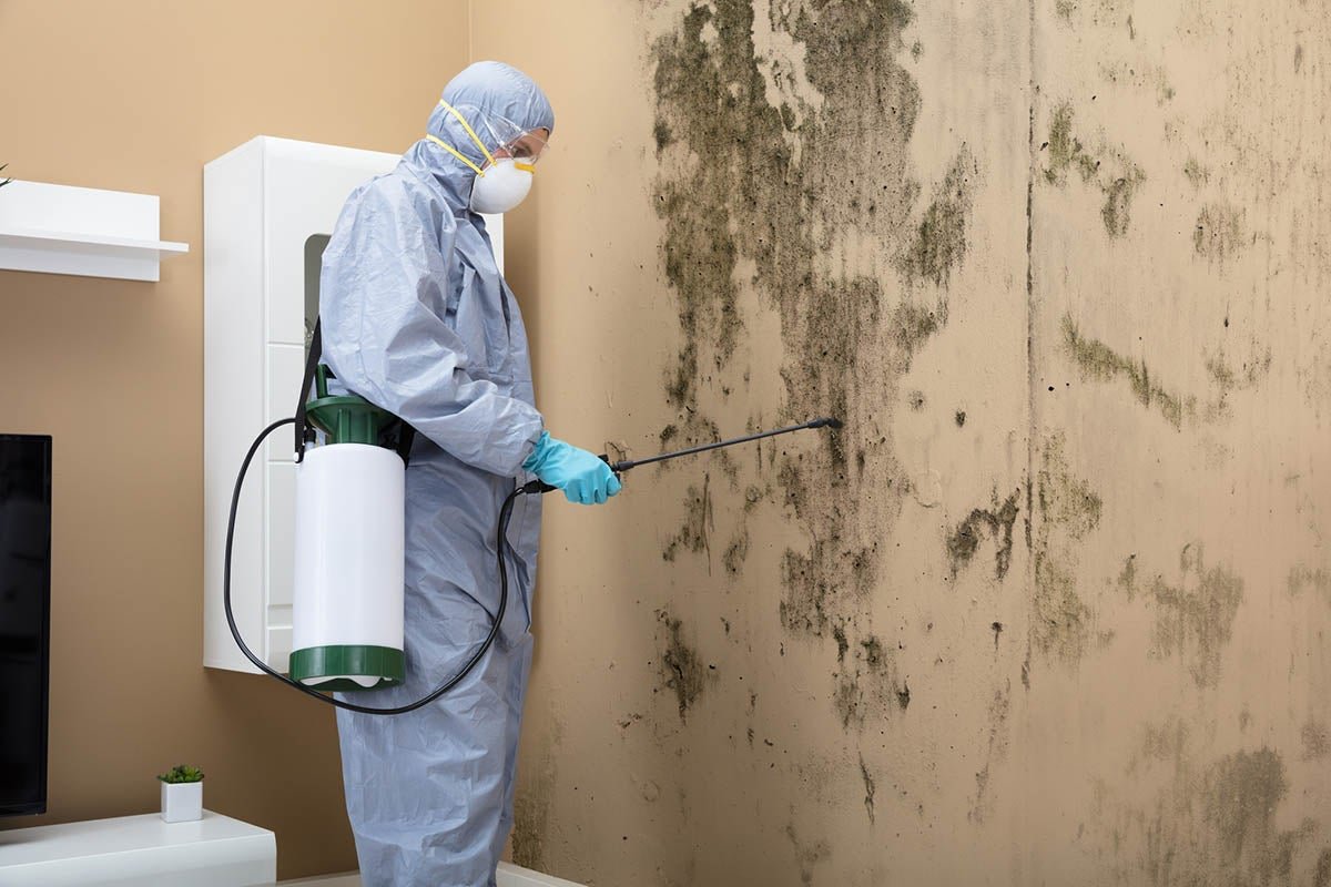 mold making family sick, EPR LLC, mold symptoms, mold health risks, mold detection, Florida mold remediation, family health mold
