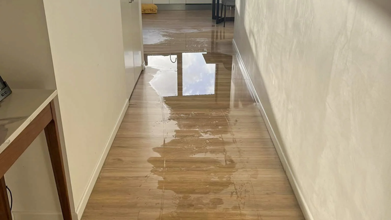 How EPR Saves Flooring, Walls, and Ceilings From Water Damage