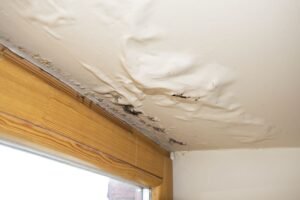 How EPR Saves Flooring, Walls, and Ceilings From Water Damage