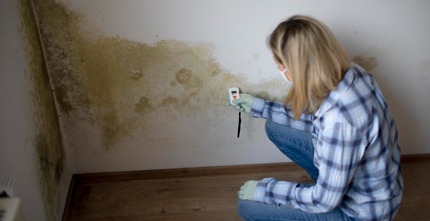 How EPR Improves Air Quality After Water or Mold Damage