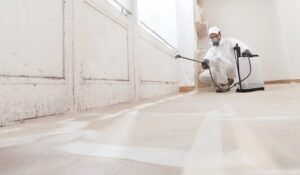 water damage restoration, mold remediation, local restoration company, EPR LLC, South Florida water damage, professional mold removal