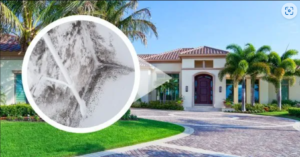 The Link Between Indoor Mold and Allergies in Florida Homes EPR LLC