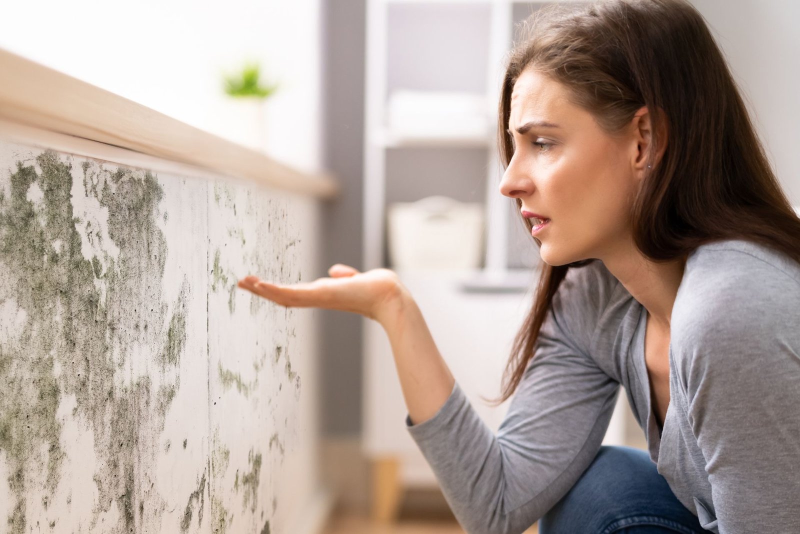 The Link Between Indoor Mold and Allergies in Florida Homes  EPR LLC