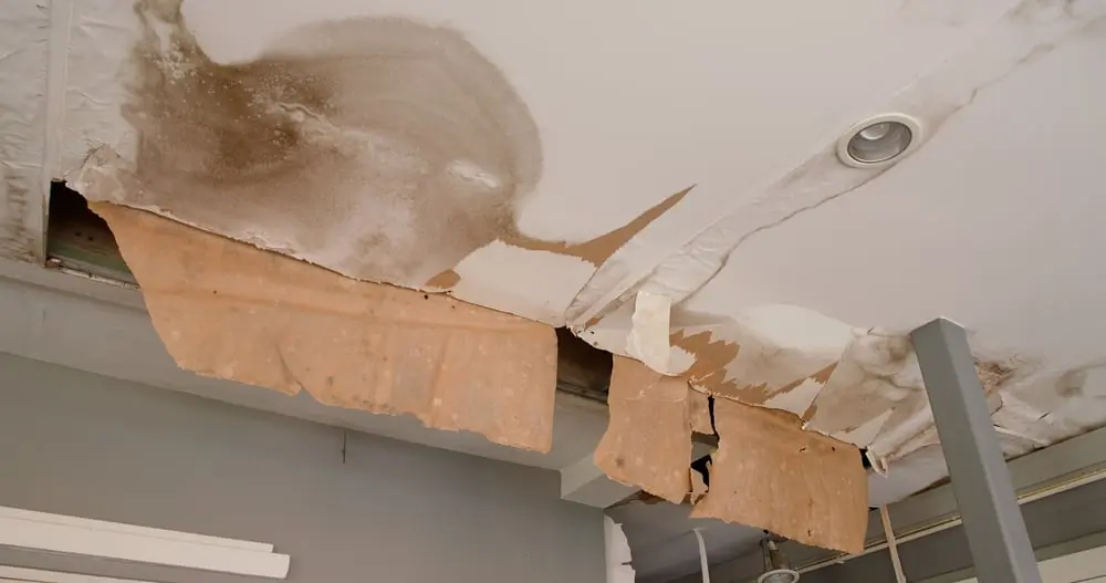 Why Acting Fast With EPR Can Save You Thousands in Repairs Water damage