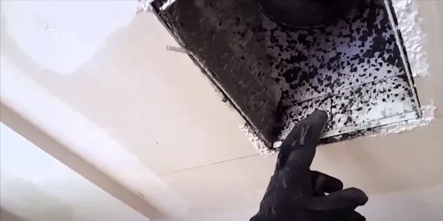 How Mold Spores Travel Through Your Home’s HVAC System